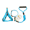 Dog Collar, Harness & Leash Set, Blue, L (35kg, 57-90cm Chest)