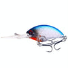 HENGJIA Rock Lure Small Fat Hard Bait Boxed Fake Bait(3)