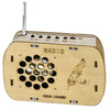 Children DIY Radio Model Handmade Assembly Toy Science Experiment Teaching Aid Invention(Material+Tool)