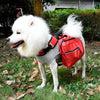 Dog Backpack Harness with Lead, Red, Small