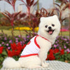 Red Dinosaur Mesh Dog Vest XXL - Breathable Summer Pet Clothes