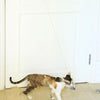 Retractable Cat Teaser Wand - Dragonfly - Door Hanging