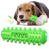 Dog Squeaky Chew Toy with Tooth Cleaning, Floating, Green