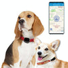 RF-V43 GPS Pet Tracker - 4G Waterproof Location Collar (Black)