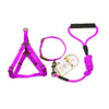 Purple Dog Collar, Harness & Leash Set - Small (Up to 8kg)