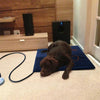 Heated Pet Mat 60x45cm, Waterproof, Anti-Scratch, US Plug