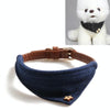 Blue PU Leather Pet Collar, 1.3x42cm (Cats & Dogs)