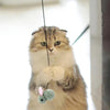 Retractable Cat Teaser Wand - Dragonfly - Door Hanging