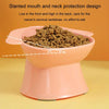 Slanted Pet Bowl Rouge Pink - Anti-Spill Cat Dog Food Water Feeder