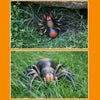 Tricky Funny Toy Infrared Remote Control Scary Creepy Spider, Size: 22*23cm