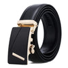 Dandali Casual Men Automatic Buckle Belt Business Soft Leather Pants Band, Length (cm): 110cm(ZD-19)