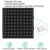 LED Plant Light Quantum Board Greenhouse Seedling Plant Growth Supplementary Light Full Spectrum Plant Planting Light, Power: 81 Beads UK Plug