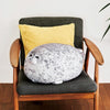 Seal Pillow Aquarium Plush Toy, High: 30cm(Squint)