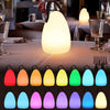 16 Colors LED Night Light with Handle Hanging Lantern USB Rechargeable Table Lamp(Egg-shaped)