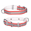 Reflective Red Velvet Dog Collar - Medium - CL181K
