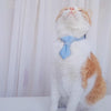 Denim Cowboy Bow Tie Collar, Light Blue, S (16-32cm), Cats & Dogs