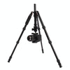 Triopo MT-2505C Adjustable Portable Aluminum Tripod (Gold) with NB-1S Ball Head (Black) for Canon Nikon Sony DSLR Camera