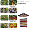 Large 169 LEDs Quantum Plant Growth Lighting Outdoor Full Spectrum Planting Lamp(UK Plug)