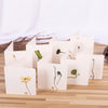 10 PCS Classical Painting Holiday Greeting Card(Cicada 05)