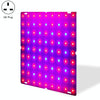 LED Plant Growth Lamp Red Blue Spectrum Flower Fill Light Planting Lamp Room Quantum Plate Plant Light, Power: 169 Beads UK Plug