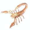 5 PCS MQY005 Children Educational Early Education DIY Hand-Assembled 3D Animal Model Puzzle Toy(Scorpion)