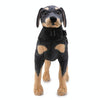 Dog Life Jacket, Black, Small (6-9kg) - JSY08