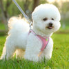 Breathable Mesh Dog Harness with 2m Leash, Blue, S