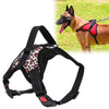 Leopard Dog Harness, Large | Breathable & No-Pull | Chest Strap