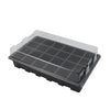 Seedling Tray Sprout Plate 24 Holes Nursery Pots Tray Lids Box For Gardening Bonsai Mini Greenhouse Nursery Plate Three Sets