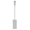 USB-C / Type-C 3.1 Male to DP Female HD Converter, Length: 12cm (Silver)