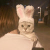 Cat Rabbit Ears Headwear, White, One Size