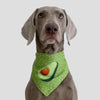 Avocado Dog Scarf L | Waterproof & Absorbent Bib | Drool Towel