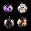 5 PCS Transparent Christmas Ball Hollow Plastic Sphere Ball Shaped Eternal Flower Ball Wedding Gifts Gift Box, Size: 6 x 6cm