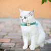 Reflective Cat Collar x2, Green, XS 19-30cm, with Bell