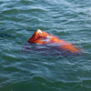 PVC Traction Drift Brake Fishing Sea Anchor, Size: 32 inch Orange With Yellow Green Rope+Float