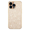 For iPhone 13 Pro Max Electroplating Star Diamond CD Texture Lens Ring Phone Case(Gold)