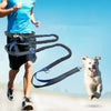 Reflective Bungee Dog Running Lead with Waist Belt (Green)