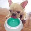 Cooling Pet Bowl, Freezable Dog & Cat Bowl, 17cm