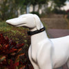 Reflective Dog Collar & Lead Set, Small, Black - Breathable Polyester