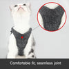 Green Cat Harness & Leash - Medium (3-4.5kg)