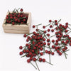 10 PCS 1:12 Fruit Simulation Hawthorn Kitchen Accessory Mini House Toy(Red)