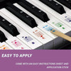 QT-0302 5PCS Children Piano Keyboard Color Stickers Musical Instrument Accessories