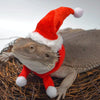 Christmas Lizard Costume, Hat & Scarf Set