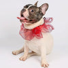 Dog Christmas Scarf, Red, Large - Holiday Pet Costume