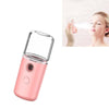 Facial Hydration Instrument Air Humidifier USB Beauty Cold Spray Instrument Auto Alcohol Disinfection Sprayer(Pink)