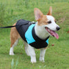 Dog Vest Ski Suit, Blue, Medium (42cm Chest, 31cm Back)