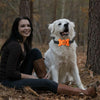 Anti Bark Collar for Dogs - Voice Activated (Orange)
