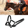 Durable Horse Collar for GPS Tracker Attachment
