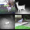Suntek HC-550G 2.0 inch LCD 16MP Waterproof 3G MMS IR Night Vision Security Hunting Trail Camera, 120 Degree Wide Angle