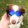 Dog Sunglasses Black, UV Protection, Small/Medium Pets